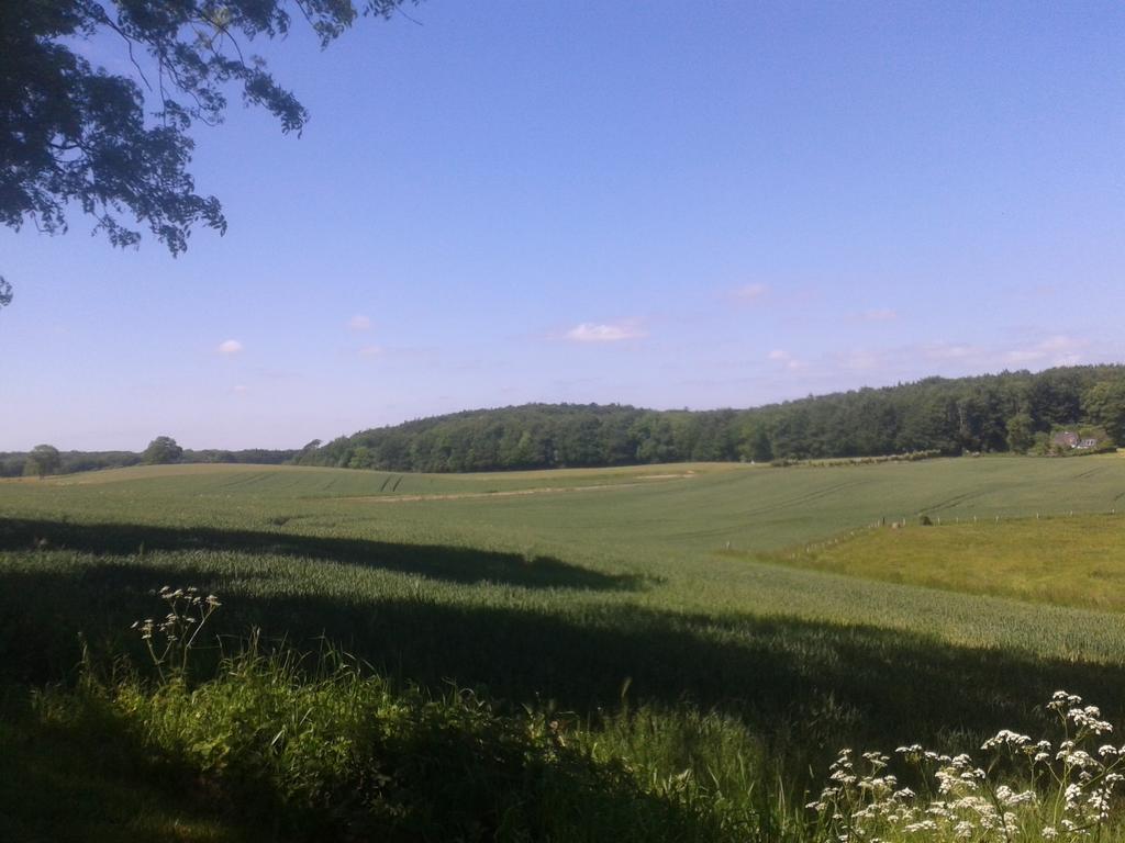 Ostsee Reetkate Langballig Cameră foto